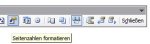 seitenzahlen_formatieren.jpg