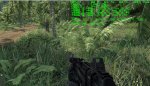 Crysis 1 in 1920 x 1080 8 x AA auf Sehr hoch.jpg