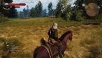 witcher3_2016_10_30_23_59_12_828.jpg