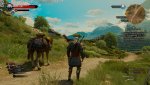 witcher3_2016_11_02_05_47_58_498.jpg