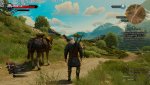 witcher3_2016_11_02_05_49_34_596.jpg