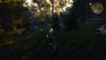 witcher3_2016_11_08_14_42_30_441.jpg