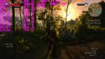 witcher3_2016_11_16_00_01_47_526.jpg