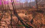 Fallout4_2017_01_07_22_24_29_609.jpg