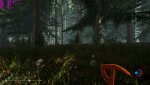 TheForest1.jpg TheForest1.jpg