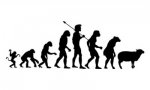 evolution_sheeple1.jpg