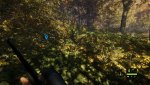 theHunterCotW_F_2017_03_31_19_32_34_800.jpg