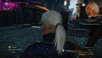 witcher3_2017_04_28_17_34_03_252.jpg