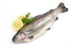 Fotolia_M_Fisch.JPG