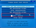 Uefi Sandisk.png