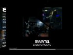 SWAT4_2 Grafikfehler.jpg