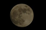 D70_Mond_2.JPG