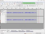 Audacity Screenshot während der Aufnahme.JPG