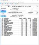 hgst.PNG