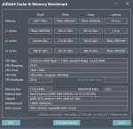 3466CL15@3950Mhz400HCI_AIDA_FAST.PNG