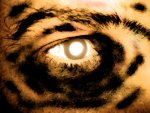 eye of the tiger.jpg