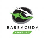 barracuda-chart-head.jpg
