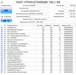 Crystaldisk_HGST_750GB.png