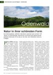 Odenwald-Artikel_Seite_3.jpg