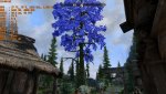 SkyrimSE_2018_09_09_19_04_52_405.jpg