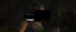 Tomb Raider Benchmark.jpg