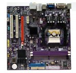 Picture 8553 copy.jpg