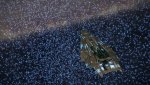 EliteDangerous64 2019-01-14 21-38-37-756.jpg EliteDangerous64 2019-01-14 21-38-37-756.jpg