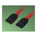 SATA_Cable.jpg