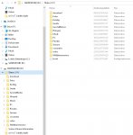 w10-Explorer-Daten.jpg