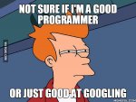 not-sure-if-i-am-a-good-programming-or-good-at-googling.jpg