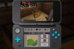 3DS.jpg