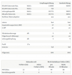 Vorherige DSL-Version.png