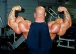 REAR-DOUBLE-BICEP.jpg