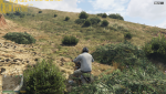 GTA5_2017_07_30_14_48_19_585.png GTA5_2017_07_30_14_48_19_585.png