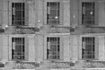 scene14-Montage-Window-Grayscale.jpg