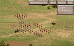 1051798796-00.gif