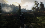witcher3 2019-11-18 20-26-50.png
