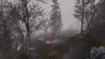 SkyrimSE_2020_04_23_18_10_46_201.jpg