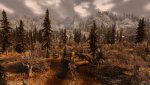 SkyrimSE_2020_03_20_16_00_25_911.jpg