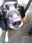 2004-06-19 001.jpg