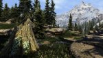 SkyrimSE_2020_05_07_01_36_24_090.jpg