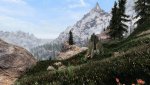 SkyrimSE_2020_04_30_16_45_48_606.jpg