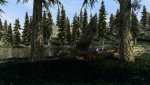 SkyrimSE_2020_05_17_22_10_42_392.jpg