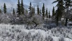 SkyrimSE_2020_05_29_11_06_13_146.jpg