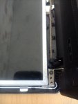 IMG_20200529_164526969.jpg