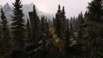 SkyrimSE_2020_05_29_17_40_44_119.jpg