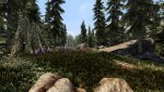 SkyrimSE_2020_05_29_18_06_43_384.jpg