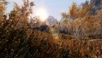 SkyrimSE_2020_05_29_23_28_13_971.jpg