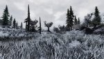 SkyrimSE_2020_05_31_12_56_48_385.jpg