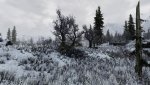 SkyrimSE_2020_05_31_13_00_40_265.jpg